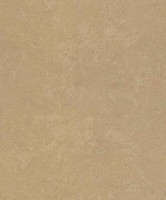 Rasch Vliestapete Gold Metallic Einfarbig Betonoptik Struktur 315196 (4,92€/1Qm)