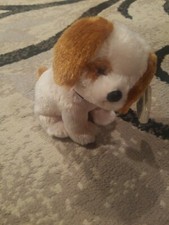  2008 Boomer Ty Beanie Baby