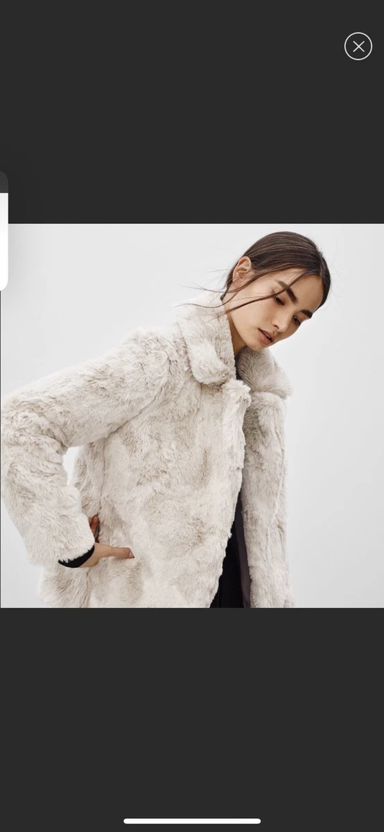 Aritzia clearance fur coat