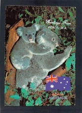E5488 Australia animals WA Perth Koalas & flag MV postcard