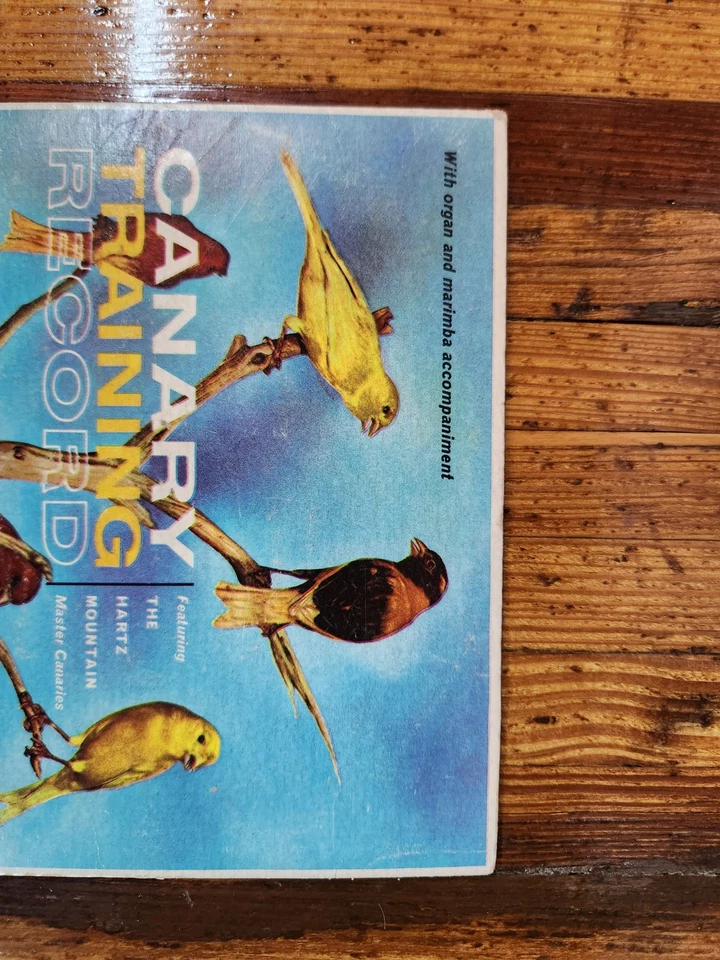 SEALED! NM Mountain Master Radio Canaries Canary Training Record 7" Vinyl 45 RPM - Image 4 of 4