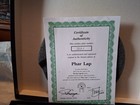 1989 Fred Stone Phar Lap Racehorse Horse Gold Collector Plate COA — photo 8
