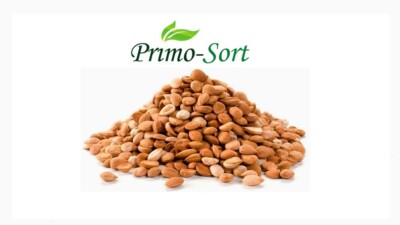 Primo-Sort Bittere Aprikosenkerne 100g-900g Backen Nüsse & Samen
