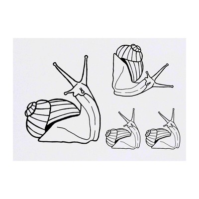 4 x Temporäre Tattoos ''Gartenschnecke'' (TO00005977)