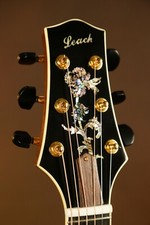 Harvey Leach Custom Om Floral Vine Acoustic Guitar