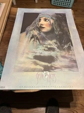 Stevie Nicks-The Wild Heart Rare Promo  Poster 1980 Record 21x30" Fleetwood Mac