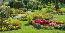 20x10ft Spring Garden Backdrop Photography Park Natural Scenic Flower Meadow