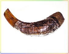 New Amazing Judaica Silver-plated 15" Rams Horn Shofar