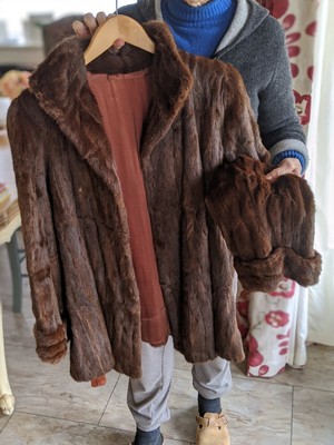 beaver lamb coat