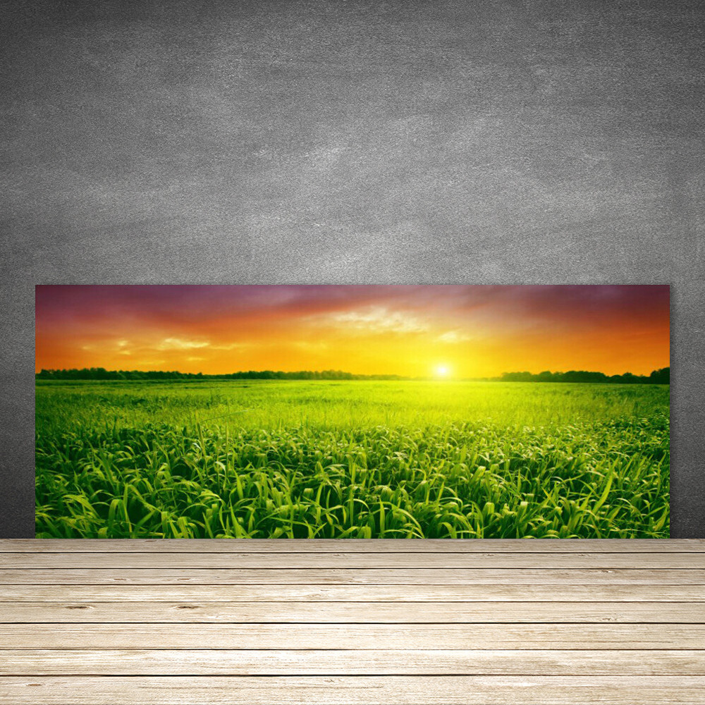 Crédence de cuisine en verre 125x50 fond de hotte floral champ de blé et soleil