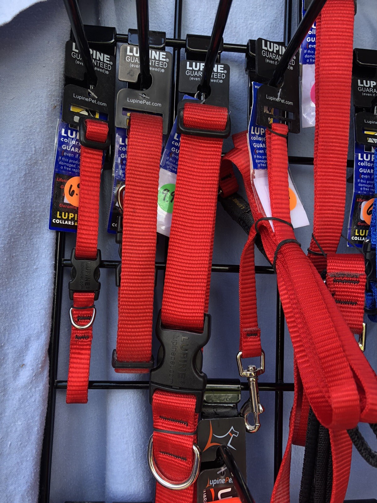 Nwt Dog Pet Collars & Leashes Lupine Brand Lifetime Guarantee Solid