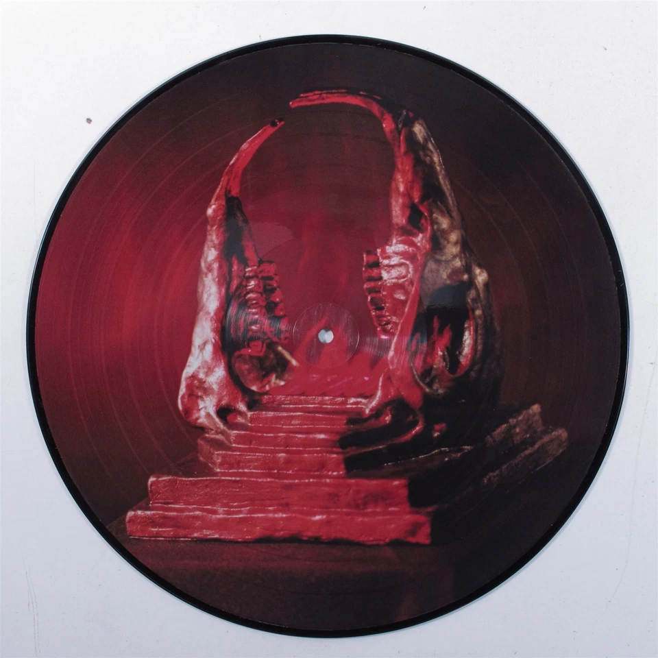 KING GIZZARD & THE LIZARD WIZARD Infest.. FLT-053 LP VG+ picture disc a - Image 3 of 4