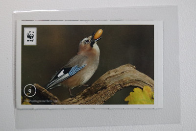 Unser Wald (EDEKA) Sticker Nr. 9