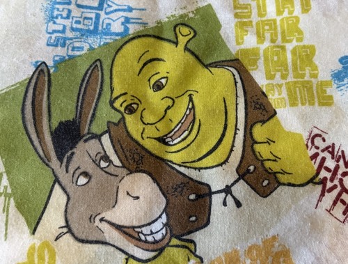Vintage Dreamworks Shrek And Donkey Flat Sheet only. 2004 TWIN Y2K Vibrant Color
