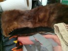Bild 7 von 9