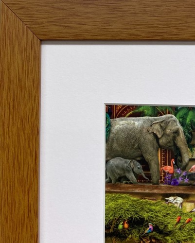Amiee Stewart "Amazing Animal Kingdom" Custom Framed Art Print NEW - Picture 3 of 3