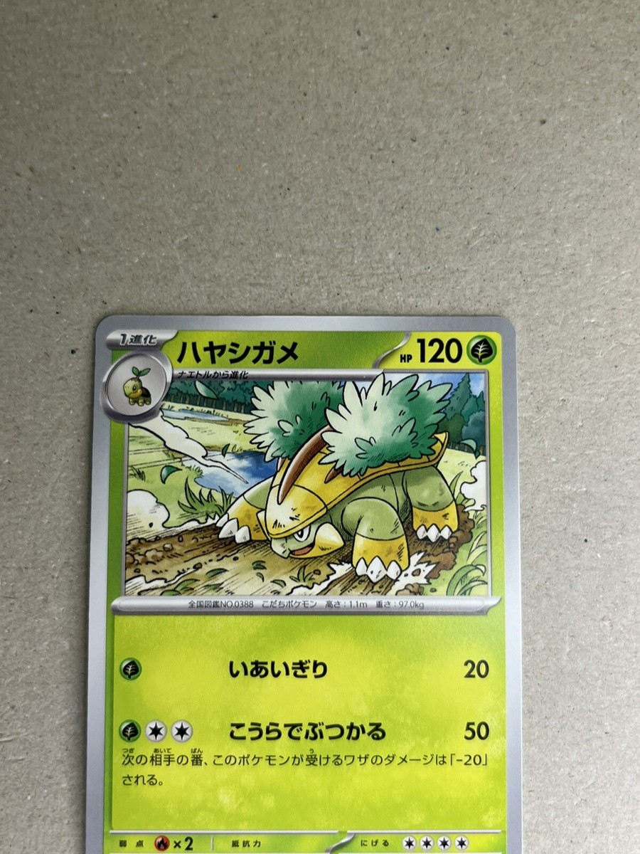 未開封品 ケロン軍おきがえドッグ 全5種コンプリート Grotle C SV5K 004/071 Wild Force Pokemon Japanese | eBay
