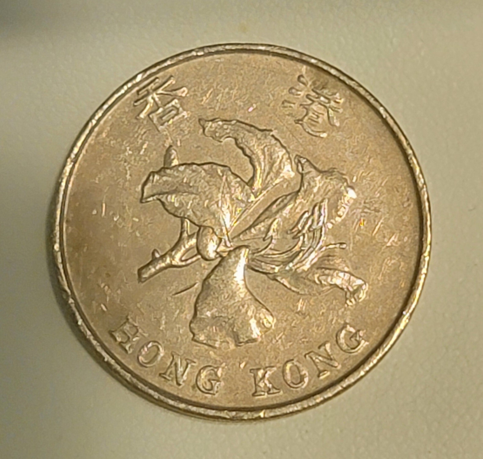 Picture 2 of 4