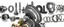 universal_business_link_fzc
