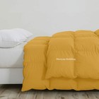 Foto 91 di 275