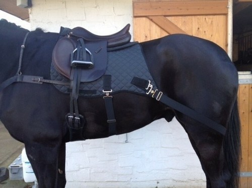 Thermatex Pro-Core Trainer Black numnah with bands core exercise - Picture 2 of 2
