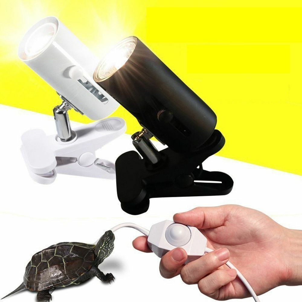 turtle light holder