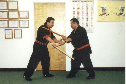 BASIC ESCRIMA DVD Diestro Escrima Arnis Santana Knife Stick Presas Cabales C3 - Picture 2 of 8