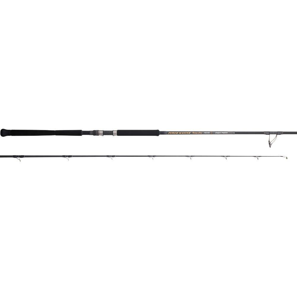 Tenryu POWER MASTER Heavy Core PMH110H Spinning Rod | eBay