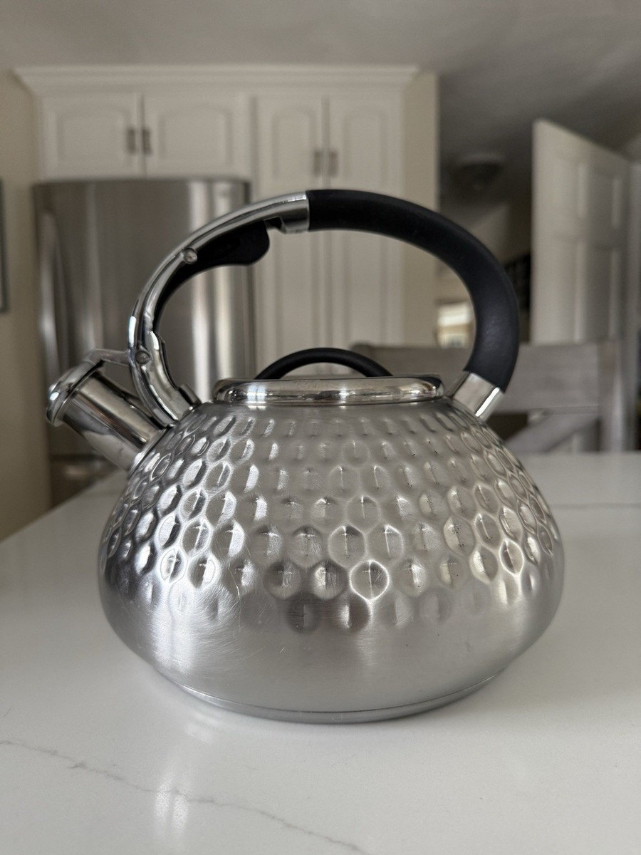 Balduzzi イタリアンスタイル ステンレス ハンマードケトル やかん Balduzzi Italian Style Brushed Stainless Steel Tea Kettle Hammered