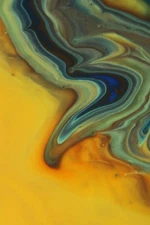 fine art photography,abstract,prints.