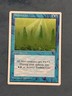 Sunken City, Fourth Edition, Magic the Gathering MTG