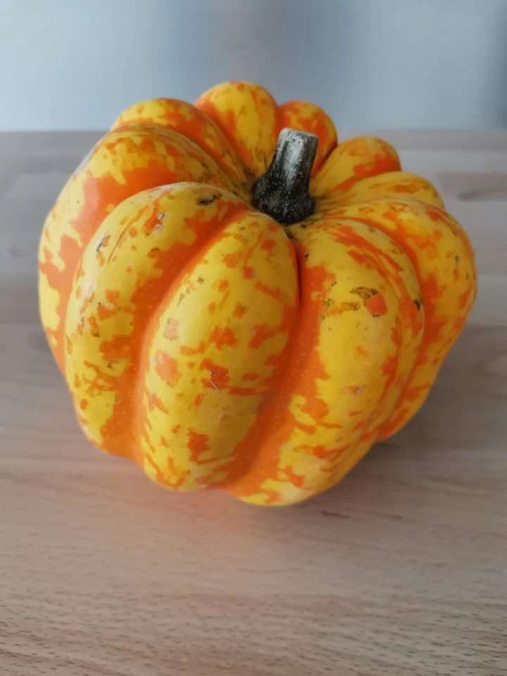 15 Graines Courge Patidou  (légume potager ancien rare)  - Photo 3/3