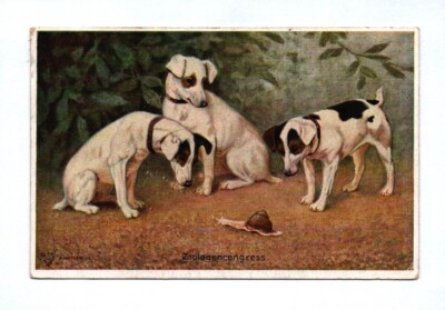 Postcard Zoologist Congress 1918 Three Dogs with a Snail