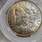 1890-O MS61 Morgan Silver Dollar CACG TONER
