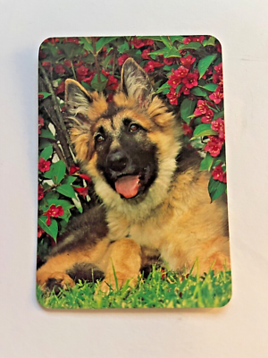 vintage pocket calendar 1988 dog dogs breed german shepherd #355