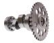 Sym Symphony 125 SR 10-17 Naraku A14 Racing Camshaft