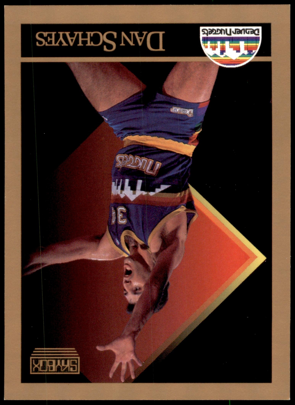 Dan Schayes #81 1990-91 SkyBox