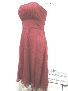coast burgundy dress