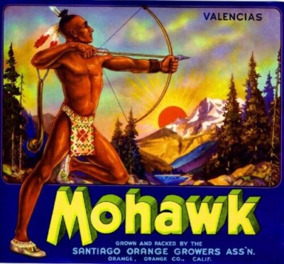 Mohawk Indian Orange County Ca Citrus Fruit Crate Label Vintage Retro Art Print