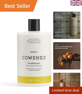 500ml Natural Boost Conditioner für feines Haar - Stärkend & Pflegend
