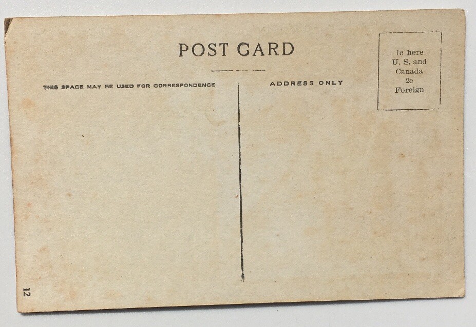 Wawona Tunnel Tree And Coach California Vintage Postcard C. 1907 thumbnail 3