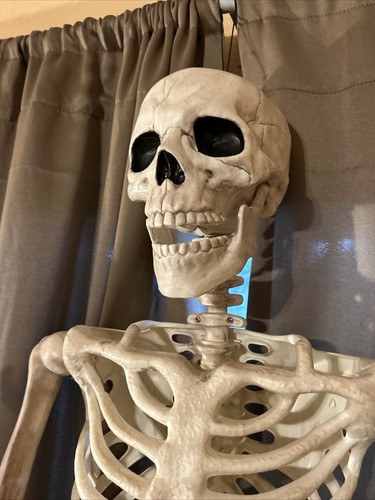 5 Foot ft Poseable Skeleton (1) SINGLE Halloween Decoration New Condition in Box - Picture 11 of 13