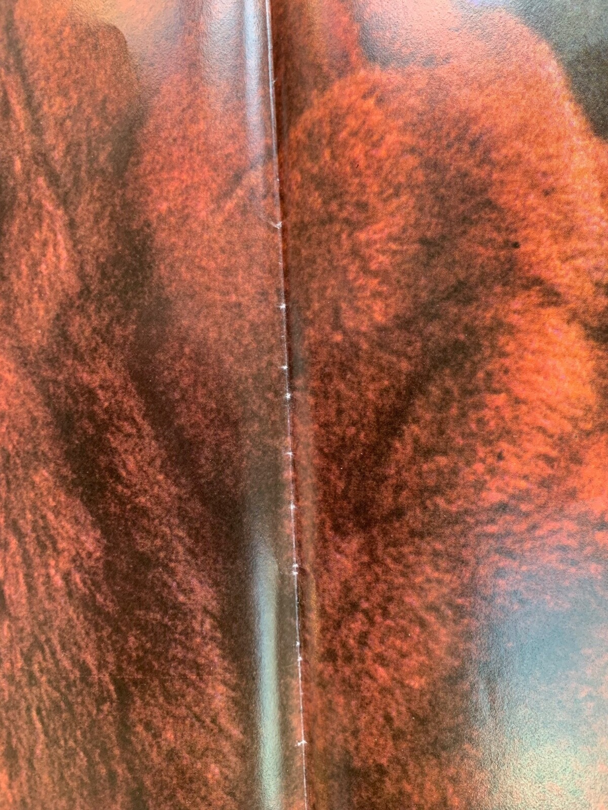 Picture 18 of 20
