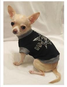 english mastiff images