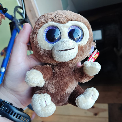 Ty Beanie Boos - COCONUT the Monkey (6 Inch) (2010) NWT