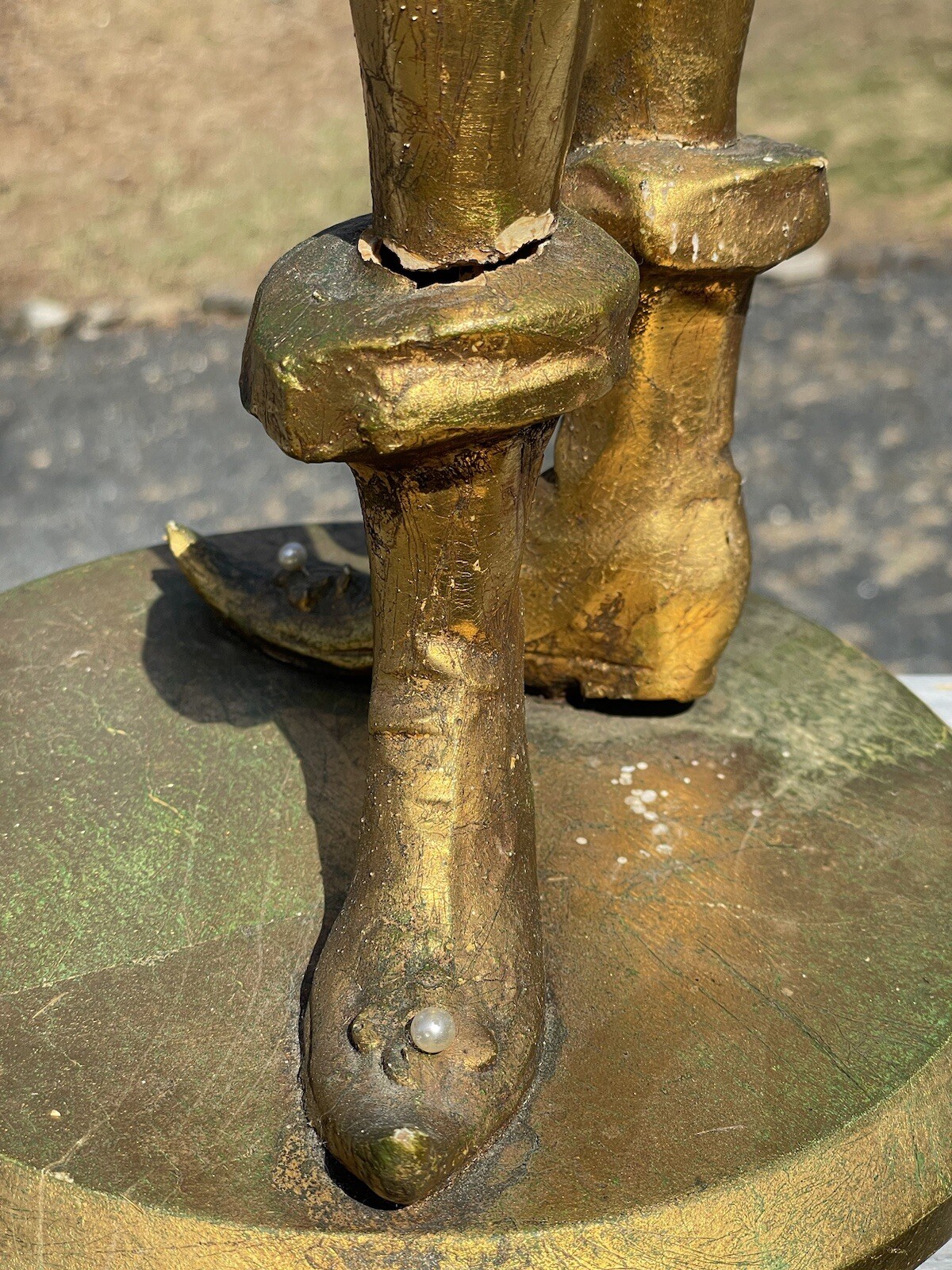 Picture 6 of 14