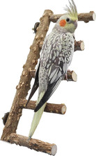 15.7 Inch Large Bird Perch Stand, Natural Wood Parrot Climbing Ladder Toys, Bird