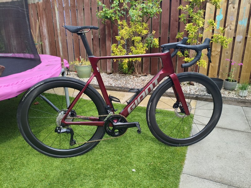 Giant Propel Advanced Pro 0 Disc 2025 Sangria Red, Size Large
