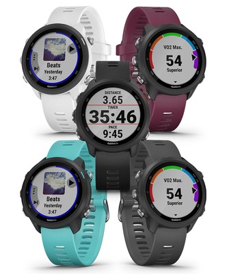 garmin forerunner 300