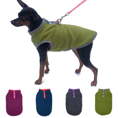 spring dog clothes